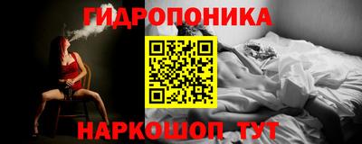 скорость Шелехов