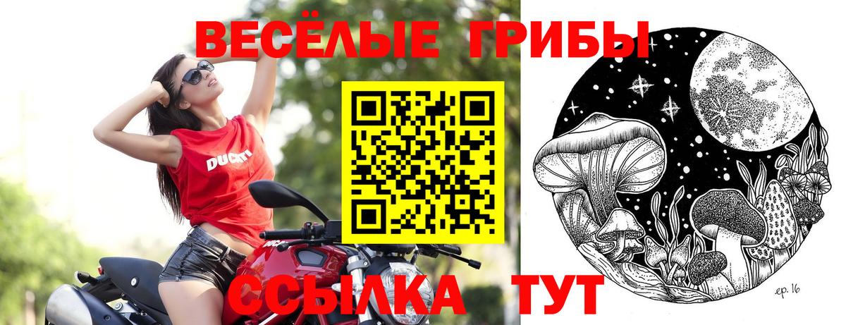 как найти закладки  Галлюциногенные грибы прущие грибы  Вход с VPN  Верхний Уфалей  Галлюциногенные грибы Cubensis 